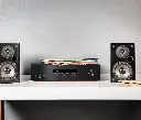 T15_Image_in-situ.webp