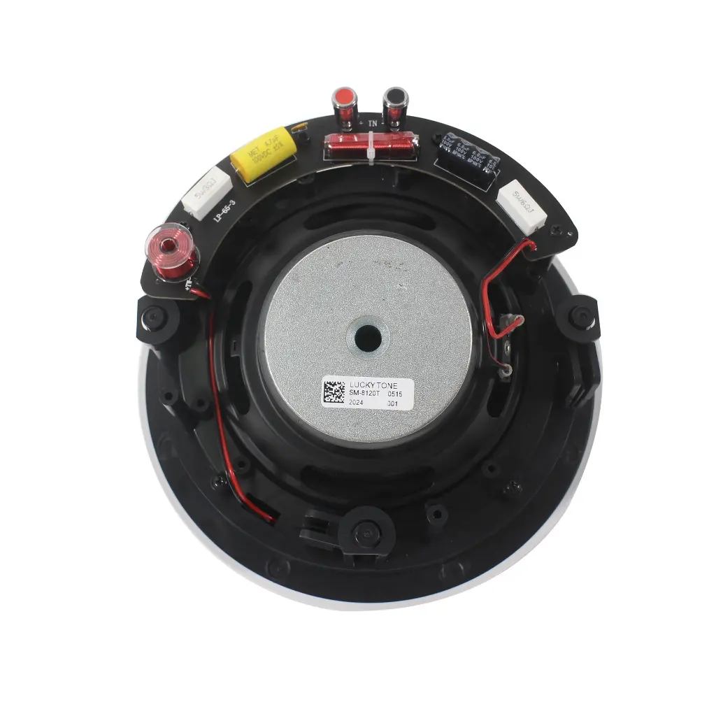 lucky-tone 6 inch inceiling speaker for dolby atmos SM-6100T 3.webp