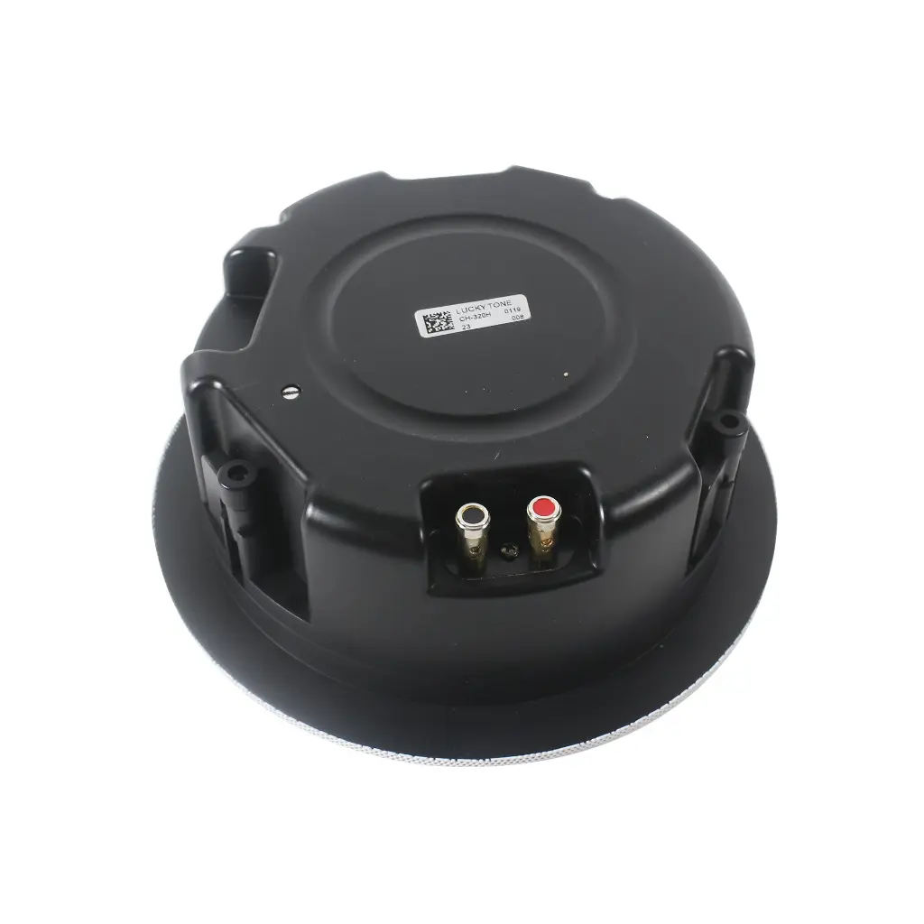 lucky tone CH-320H-2 speaker 2.webp