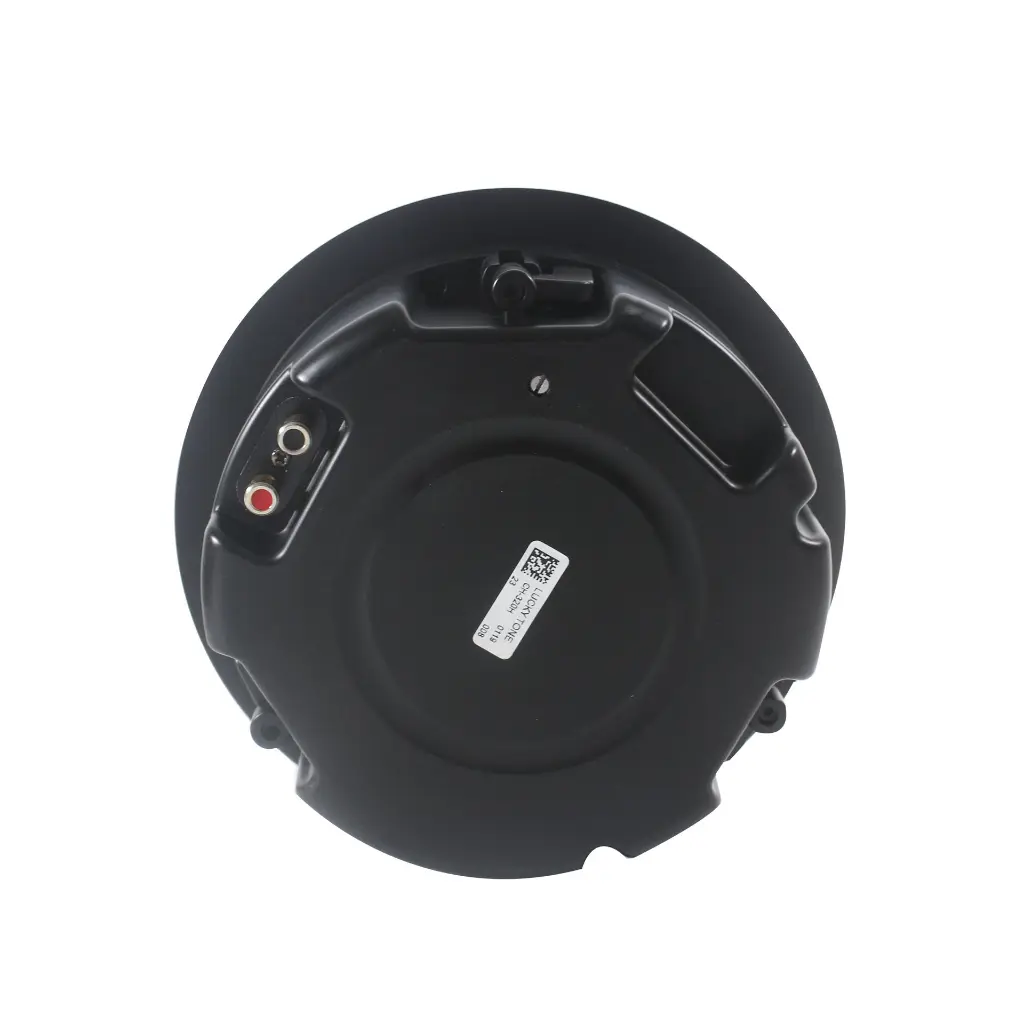 lucky tone CH-320H-2 speaker 5.webp