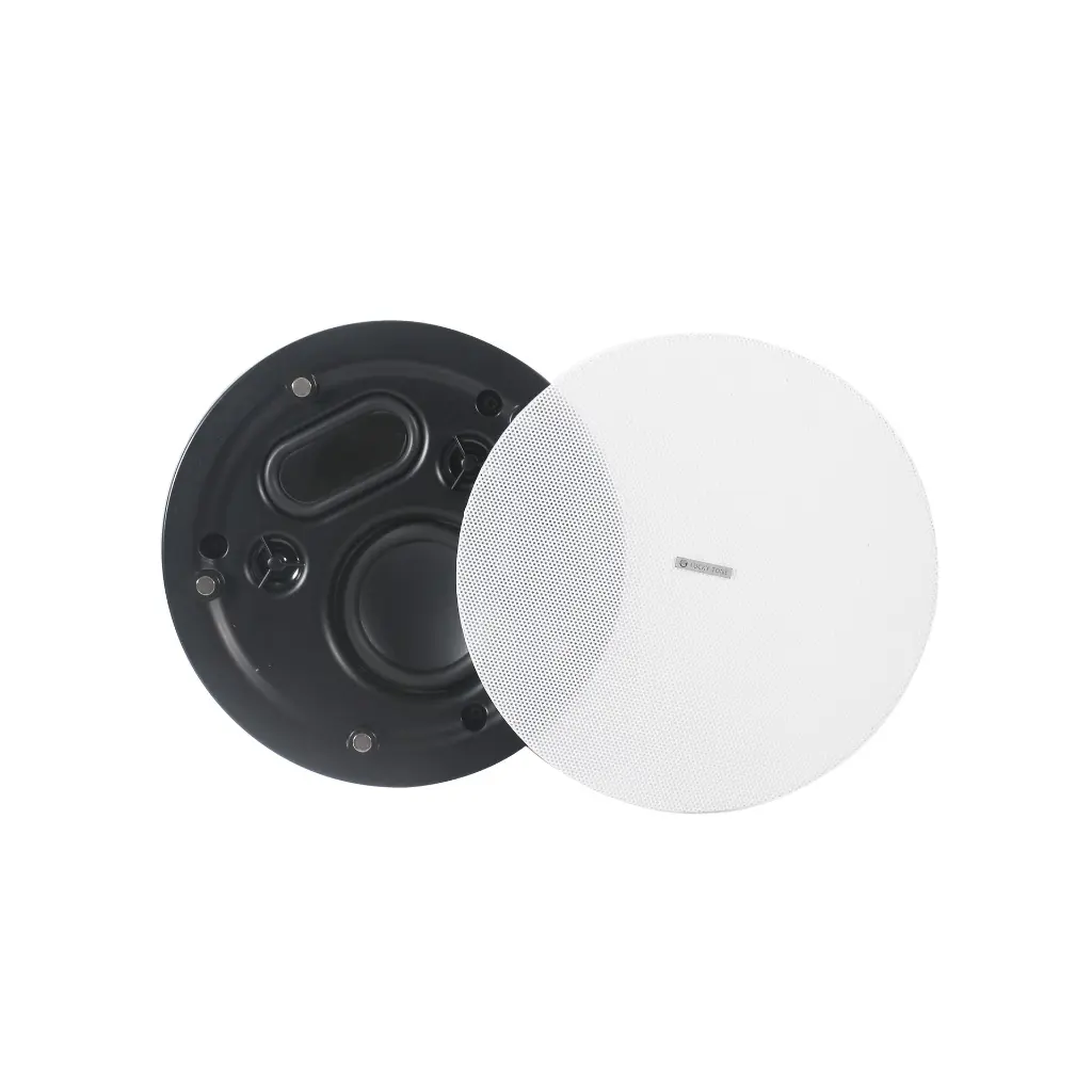 lucky tone CH-320H-2 speaker 3.webp