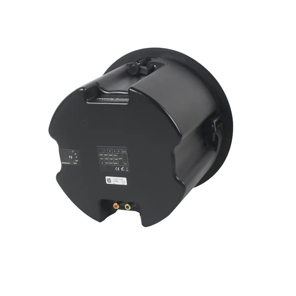 lucky tone cp-660p speaker 5.webp