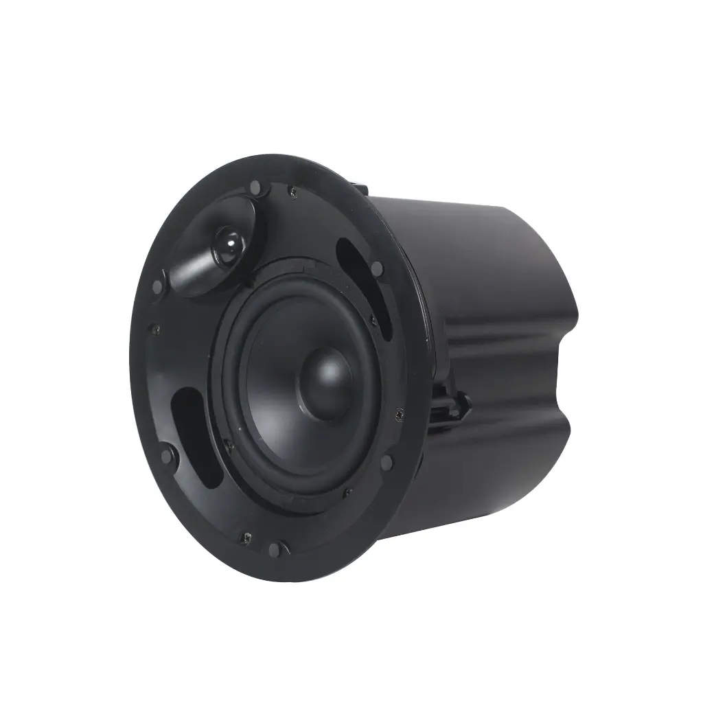 lucky tone cp-660p speaker 3.webp