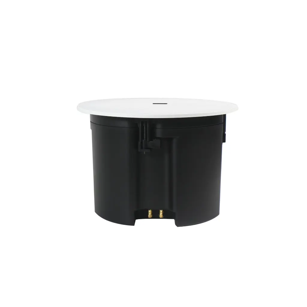 lucky tone cp-880p speaker5.webp