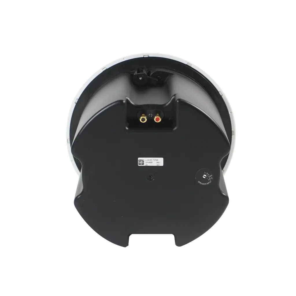 lucky tone cp-880p speaker6.webp