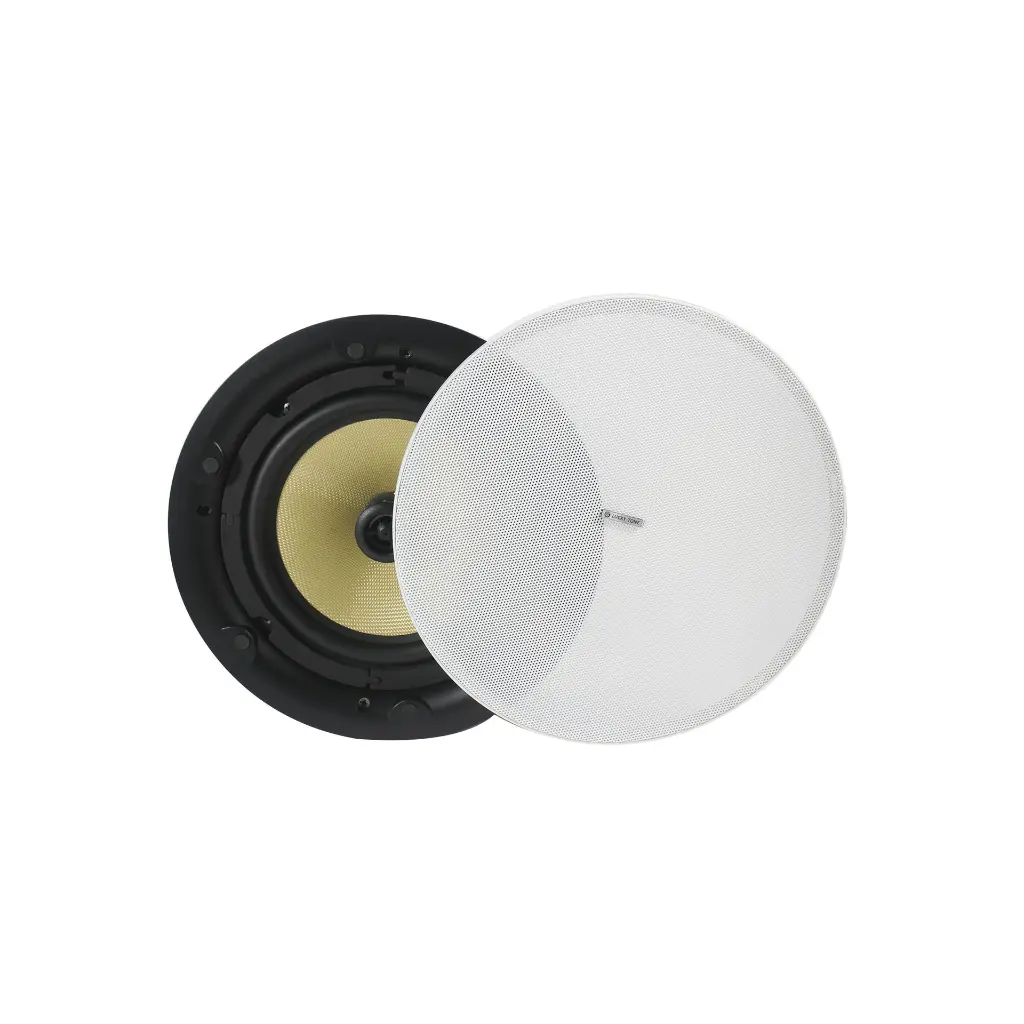 lucky tone cp-880p speaker2.webp