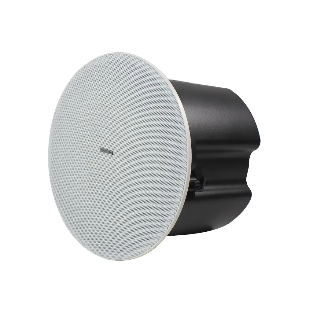 lucky tone cp-880p speaker3.webp