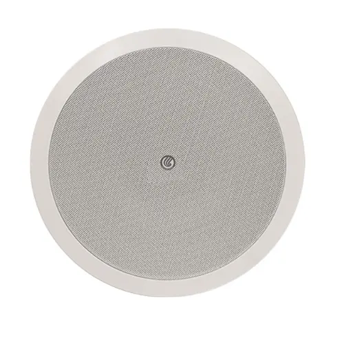 lucky tone cp-521T Speaker2.webp