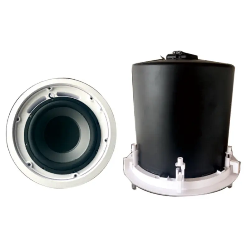 Lucky Tone LT-10.1 10" Ceiling Subwoofer